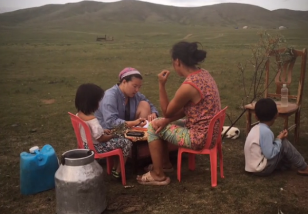 WOLTS study baseline fieldwork complete in Mongolia